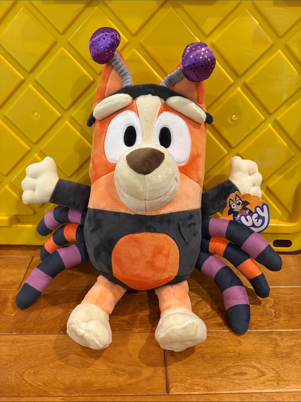 Bluey “BINGO” Halloween Spider Orange, Black & Purple